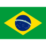 Brazil U17 crest