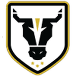 Bulls Academy crest