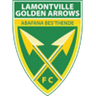 Golden Arrows crest