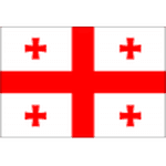 Georgia U21 crest